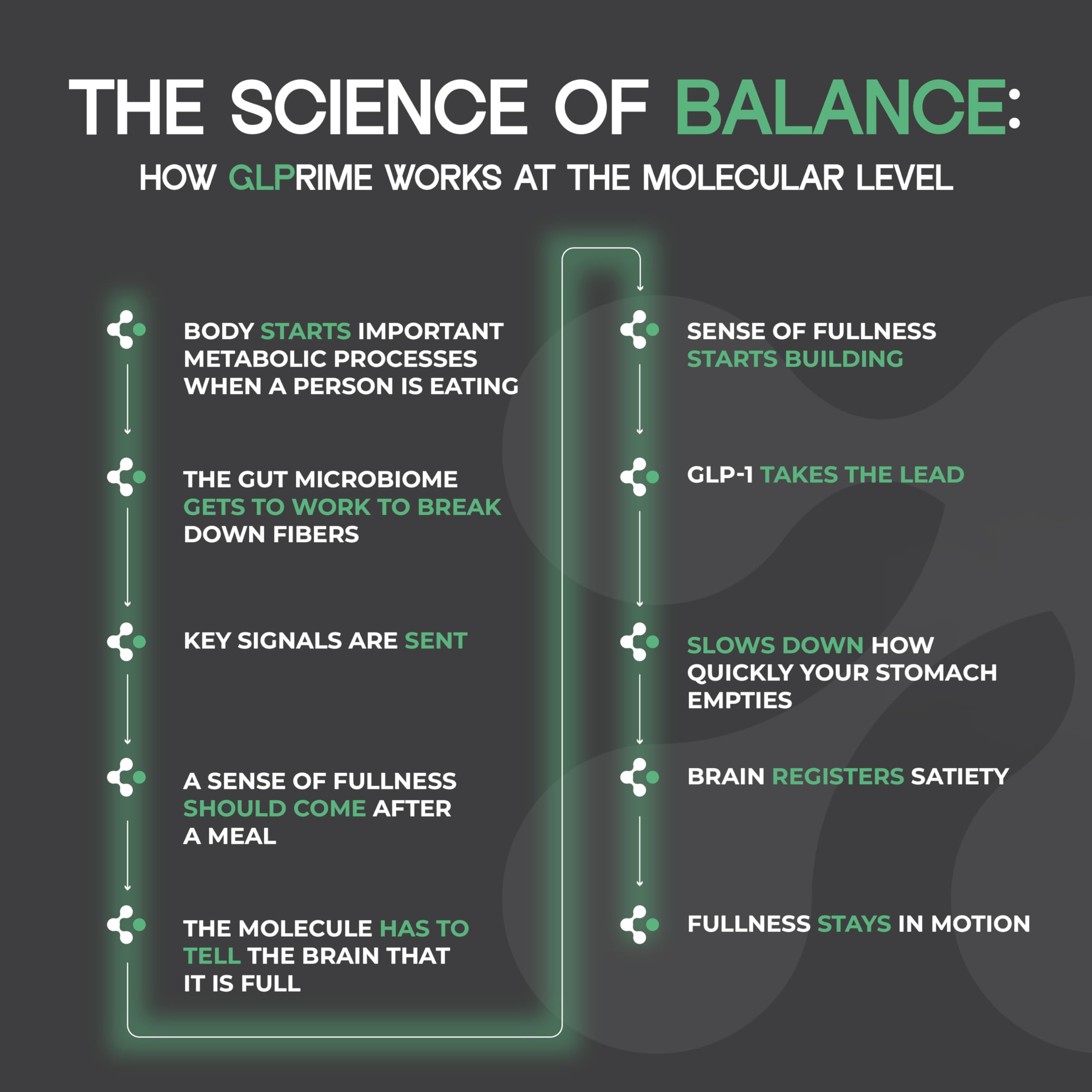 METAERA GLP-1 Synergy : conditionnement vegan et sans allergènes.