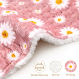 Controleur LED Daisy de MewMix, affichage clair et utilisation intuitive.