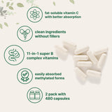 Micro Ingredients Vitamine C liposoluble palmitate: stabilité et absorption potentielles.