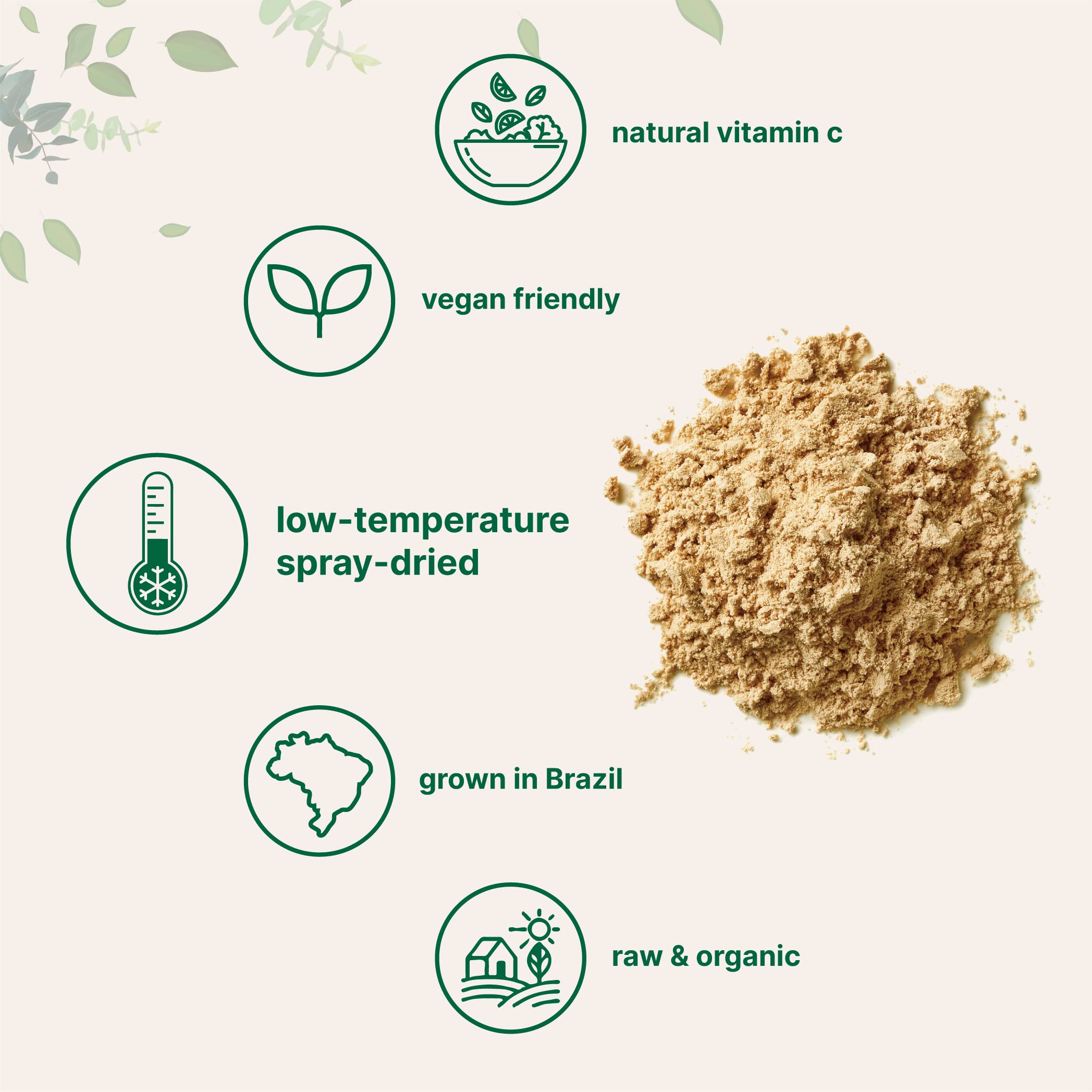 Texture fine de la poudre acérola Micro Ingredients prête à mélanger.
