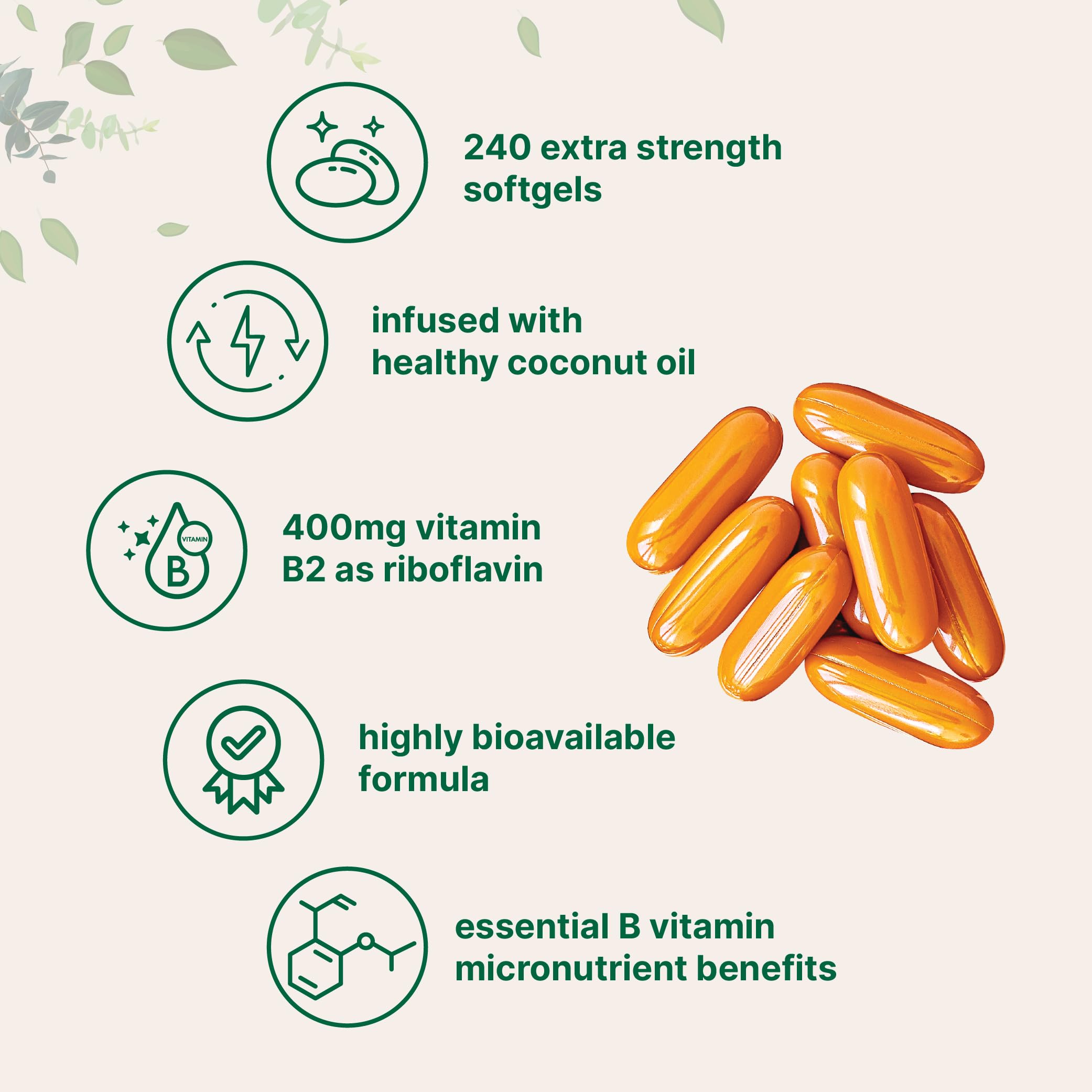 Micro Ingredients B2, capsules faciles à avaler et stabilité prolongée grâce à l’huile de coco.