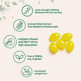 Micro Ingredients Berberine 1000mg en sachet, format pratique pour prise quotidienne