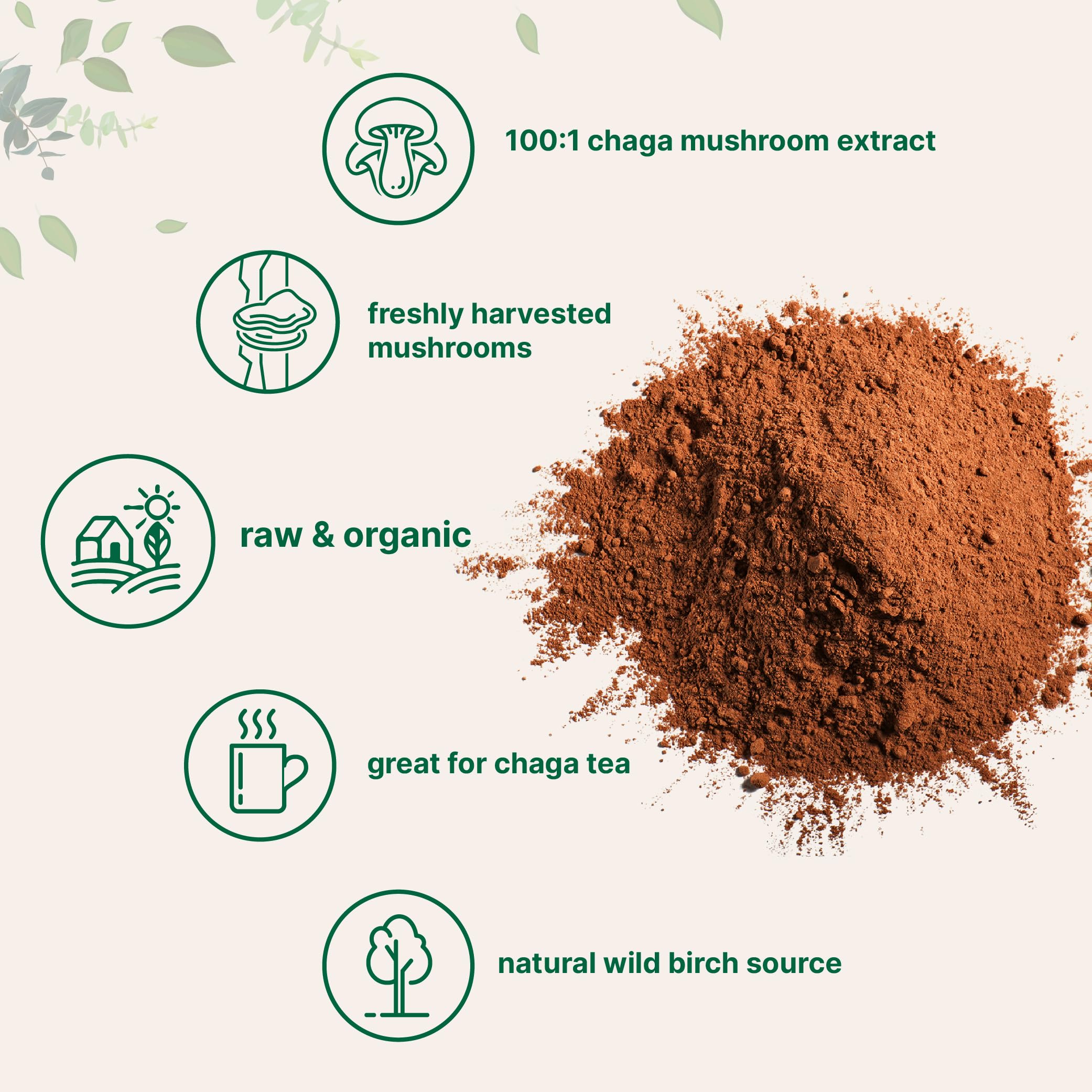 Poudre Chaga Micro Ingredients se dissout facilement dans thé chaud pour un goût riche.