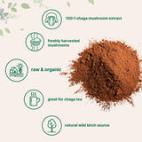 Poudre Chaga Micro Ingredients se dissout facilement dans thé chaud pour un goût riche.