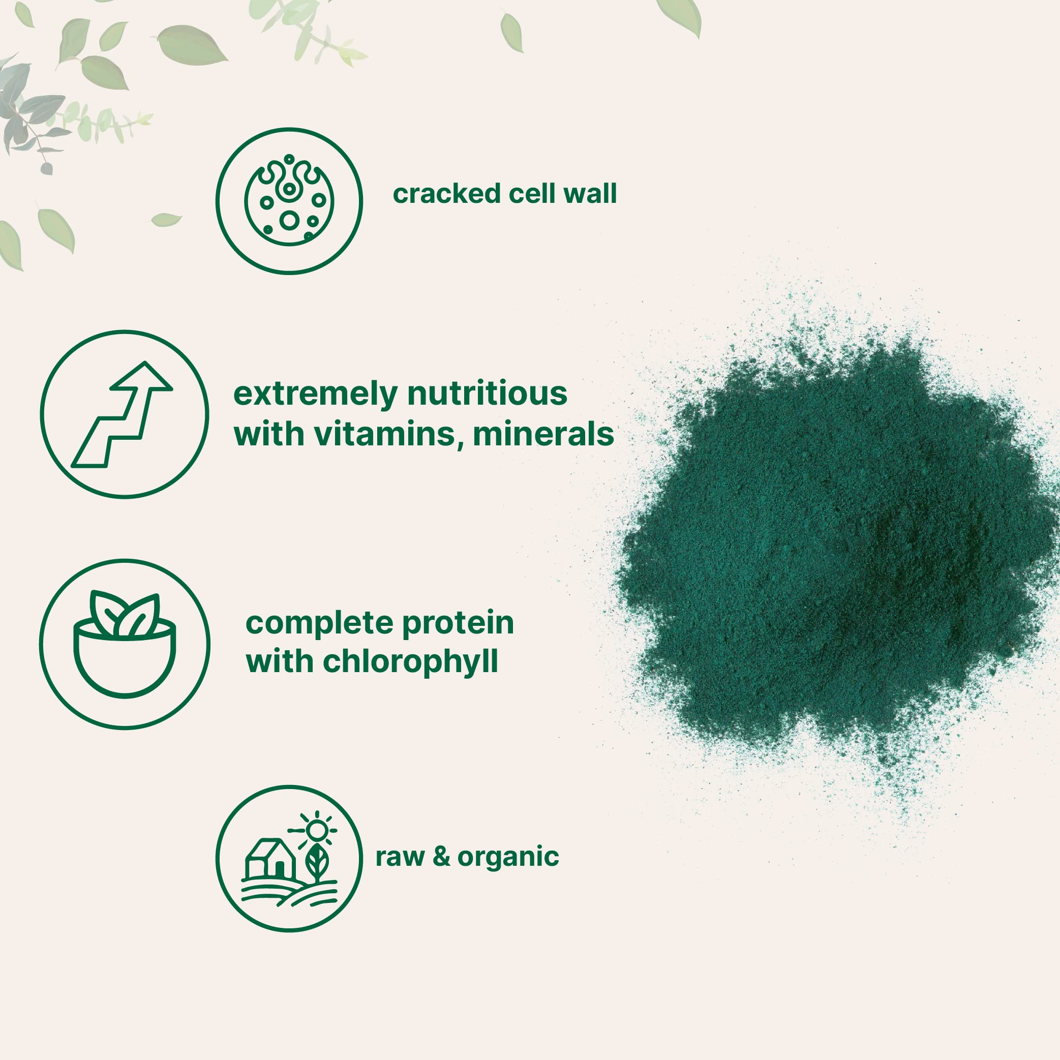 Micro Ingredients chlorella poudre emballage bouteille, conservation facilitée et dosage précis