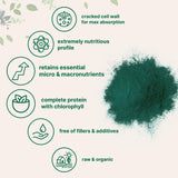 Micro Ingredients chlorelle: bol digestif grâce à une poudre verte nourrissante.