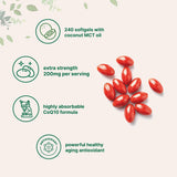 CoQ10 Micro Ingredients, antioxydant potentiel pour le soutien du cœur et l’énergie.