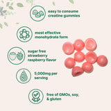 Portion Micro Ingredients Creatine, mesure simple pour chaque séance.