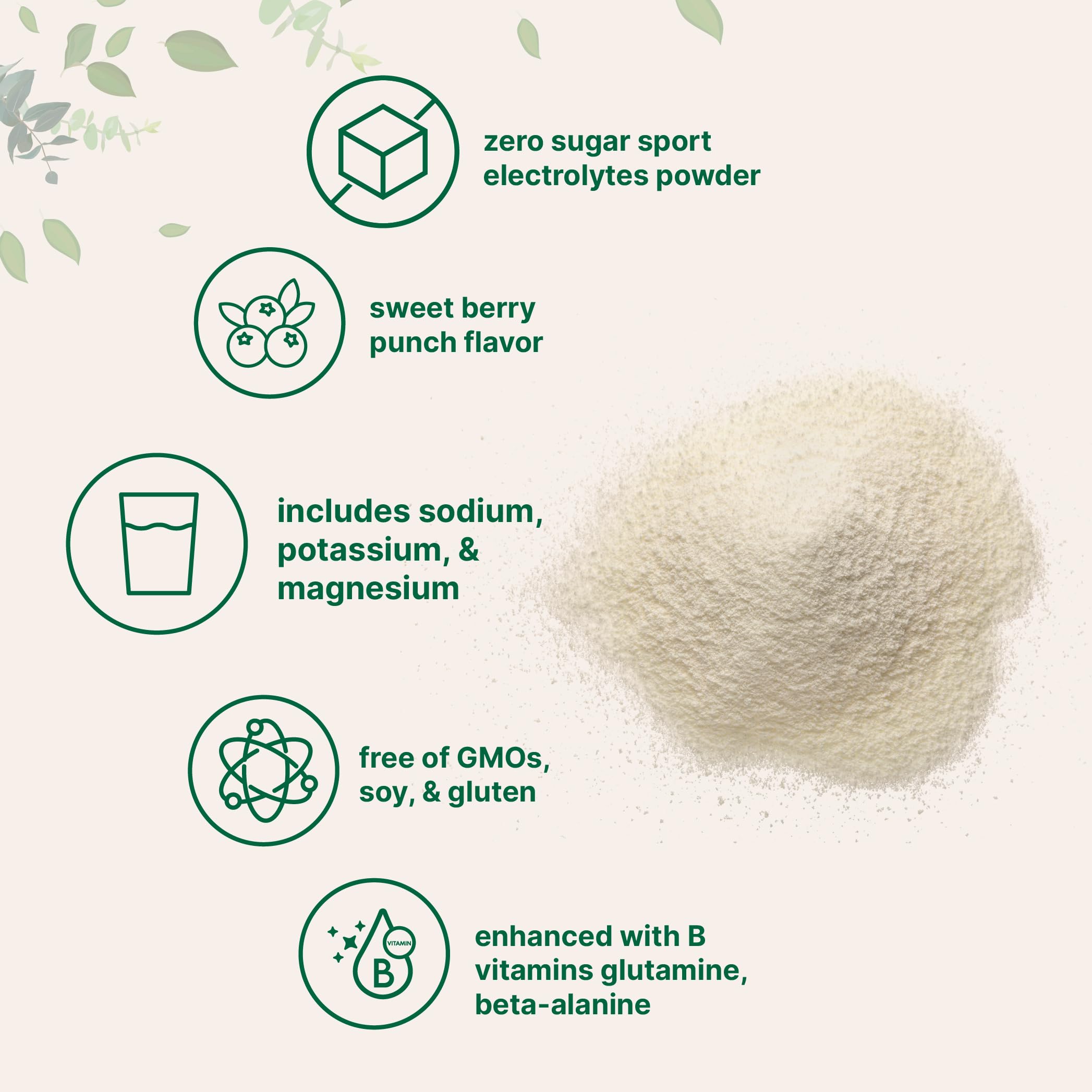 Étiquette nutritionnelle de la poudre d'électrolytes Micro Ingredients, sans sucre.