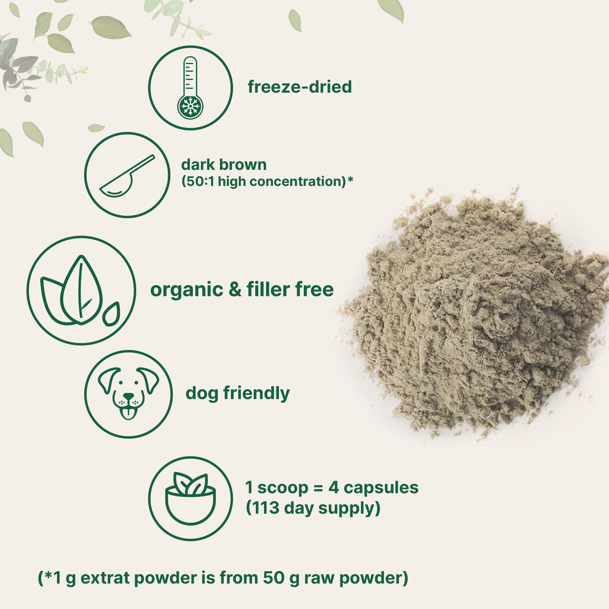 Flacon Micro Ingredients tramète versicolore prêt à l’emploi.