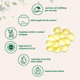 Boîte Micro Ingredients saveur citron pour prise quotidienne agréable