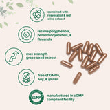 Micro Ingredients Etiquette Raisin Résveratrol Vin Rouge – affiche les extraits et leur potentiel antioxydant.