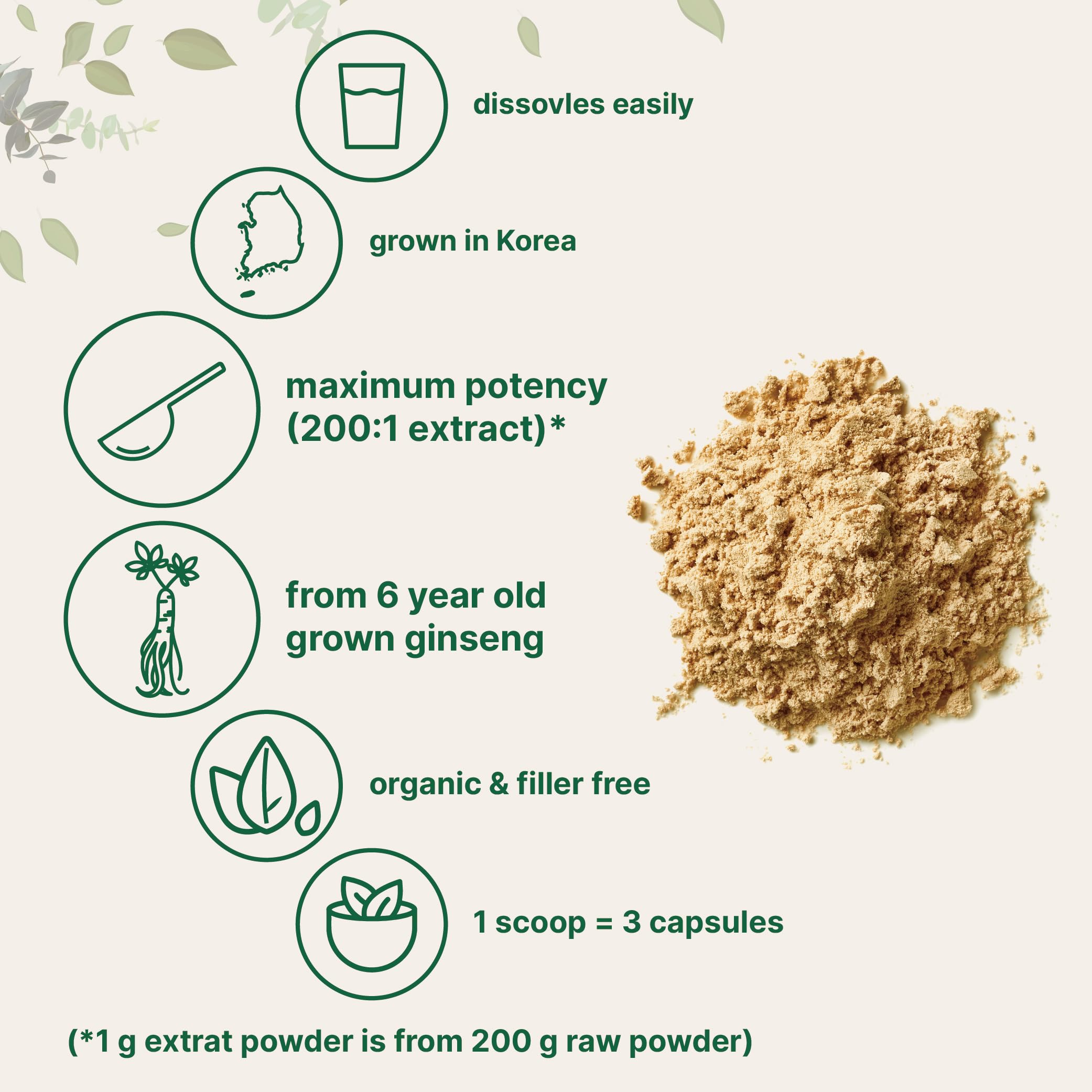 Poudre Micro Ingredients ginseng coréen en poudre, concentration élevée pour énergie potentielle.