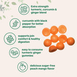 Gommes Micro Ingredients saveur pêche mangue sans sucre.