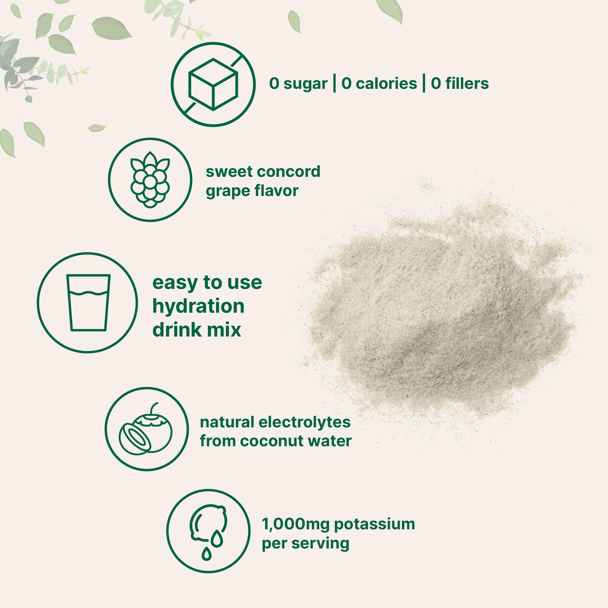 Micro Ingredients électrolytique en poudre à base d’eau de coco pour rétablir les minéraux