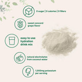 Micro Ingredients électrolytique en poudre à base d’eau de coco pour rétablir les minéraux