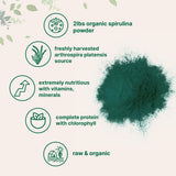 Doseuse spiruline Micro Ingredients pratique et précise