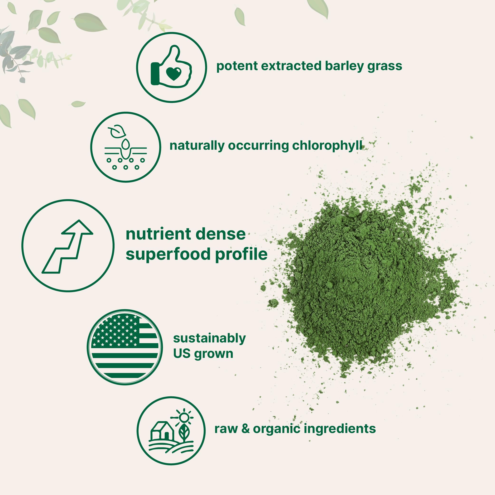 Micro Ingredients verre-eau-poudre-orge-verte: mélange facile pour une boisson saine.