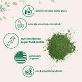 Micro Ingredients verre-eau-poudre-orge-verte: mélange facile pour une boisson saine.