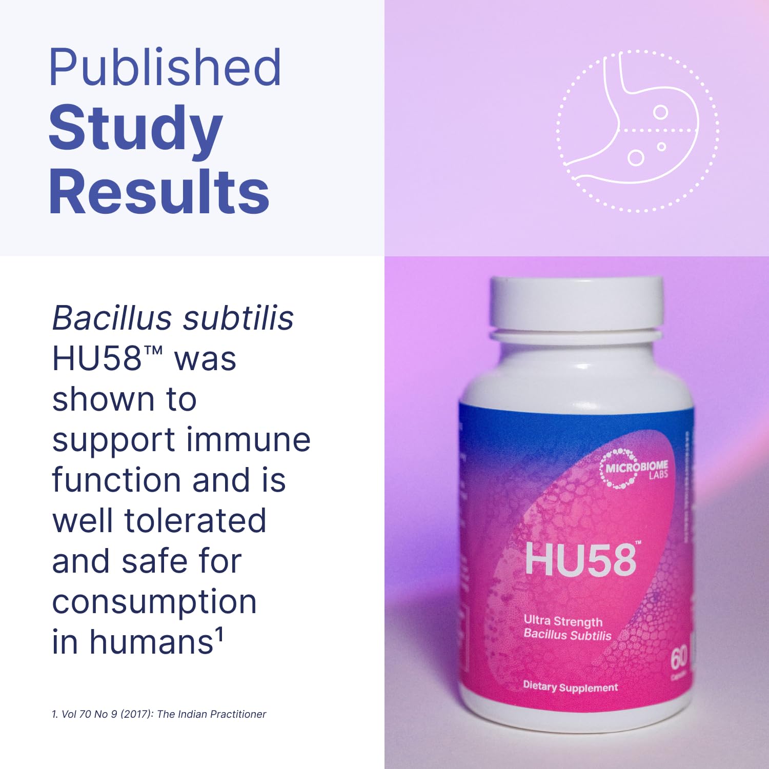 Souche Bacillus Subtilis HU58, résiste à l'acide gastrique pour atteindre l'intestin.