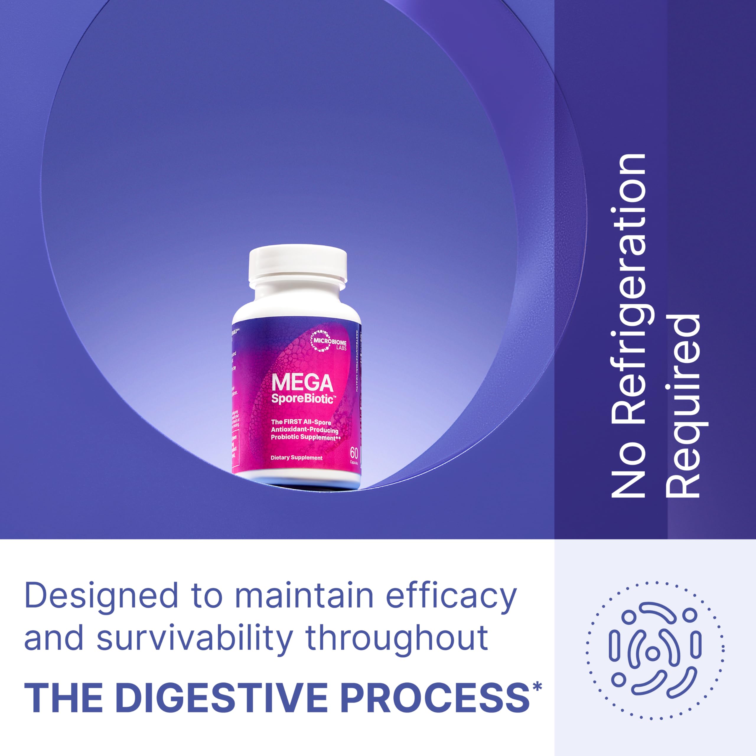 Les capsules MegaSporeBiotic résistent à l'acide gastrique et soutiennent l'intestin.