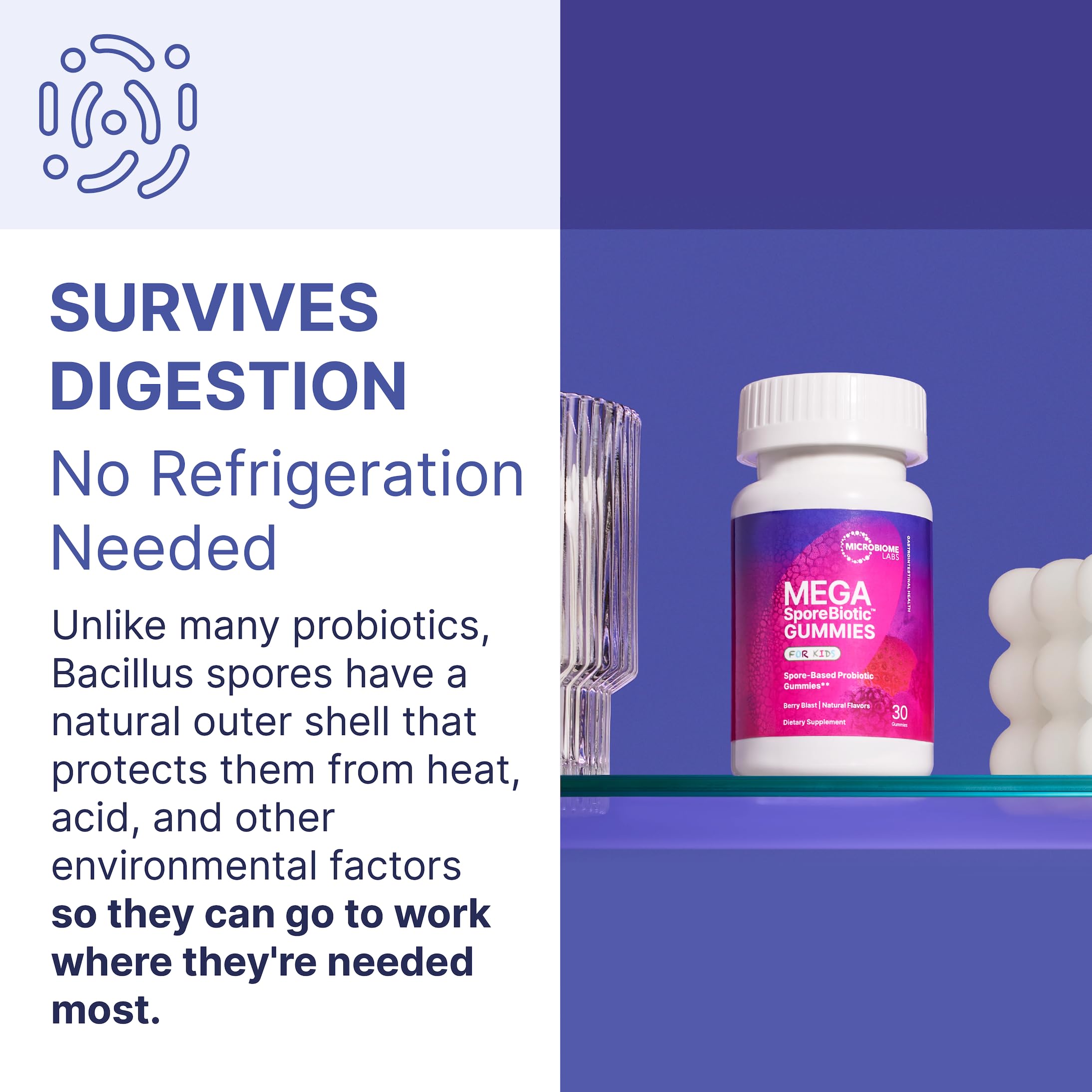 Bouteille MegaSporeBiotic Microbiome Labs: 30 portions pour adultes