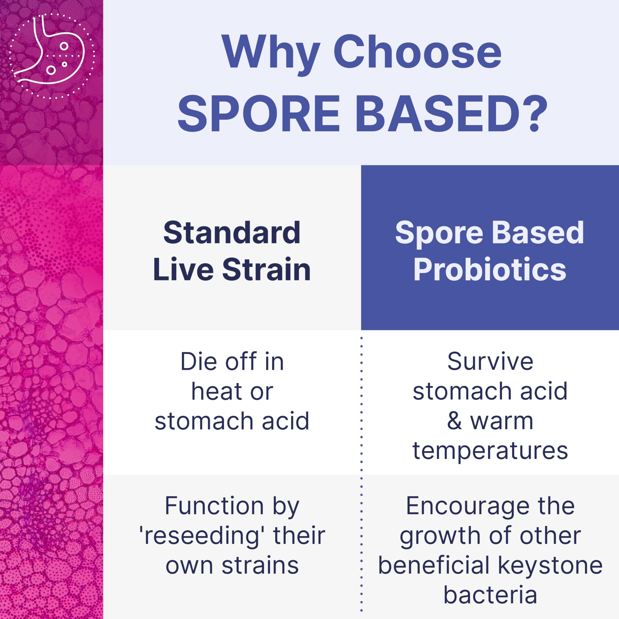 MegaSporeBiotic : emballage sans réfrigération, pratique pour les voyages.