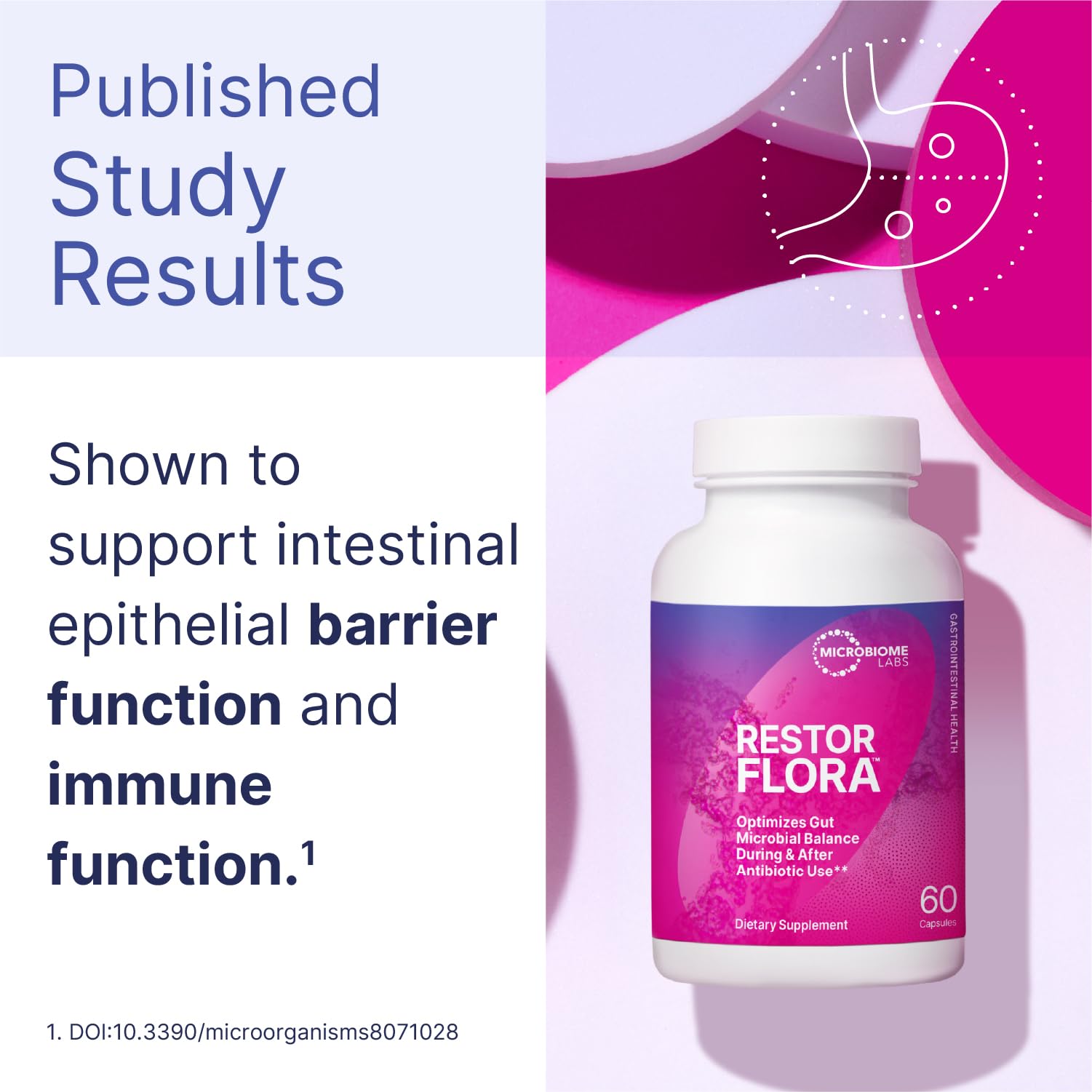 Restorflora Microbiome Labs – Bacillus subtilis HU58, souche résistante favorisant l’équilibre intestinal.