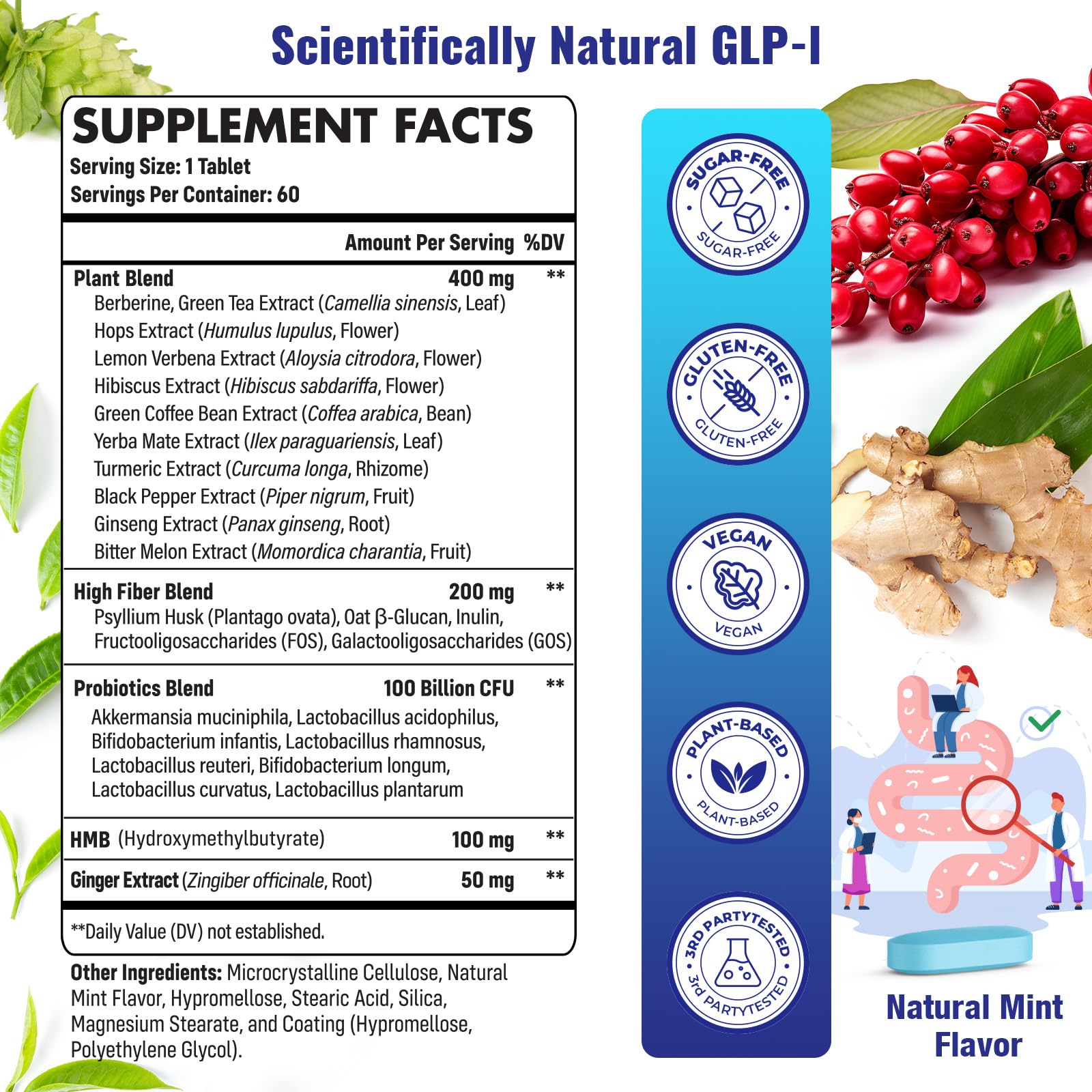 Mightnes GLP-l prébiotiques — soutien potentiel pour la flore intestinale et la digestion.