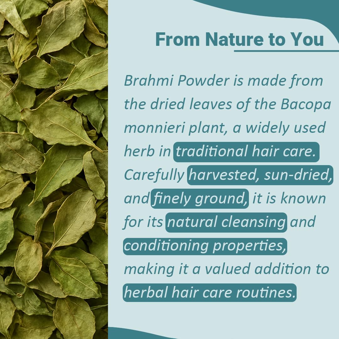 Minature Brahmi poudre organique fine — texture légère pour mélanges capillaires DIY.