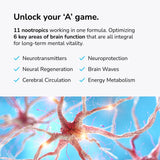 Mind Lab Pro MLP4 emballage élégant prêt à une routine quotidienne.