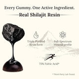 Gomme Shilajit Miresi énergie et vitalité au quotidien