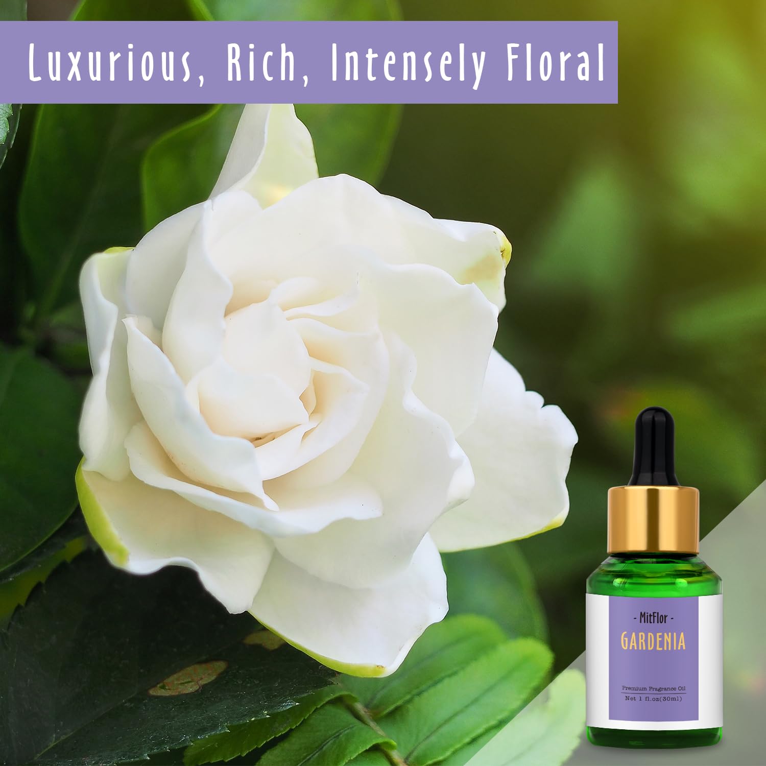 MitFlor Gardenia huile parfumee diffuseur-maison pour ambiance florale