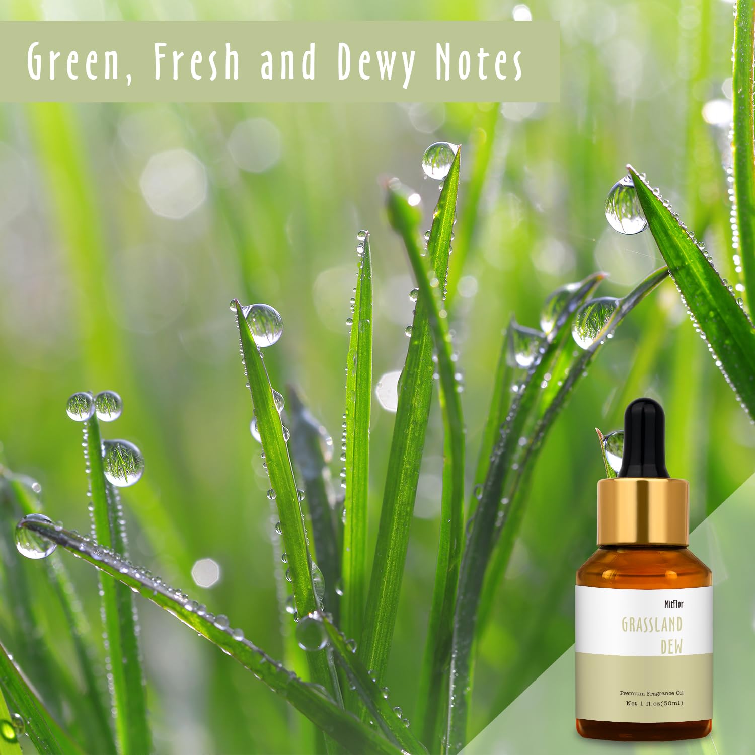 MitFlor Grassland Dew: diffuseur pour salon ou bureau, ambiance rafraichissante.