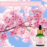 Huile parfum fleur de cerisier MitFlor – emballage soigné prêt à l’emploi.