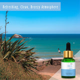 MitFlor Lin Côtier, diffuseur ambiance 30 ml pour atmosphère agréable.