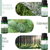MitFlor romarin-eucalyptus: huile parfumée pour diffuseur et créations maison.