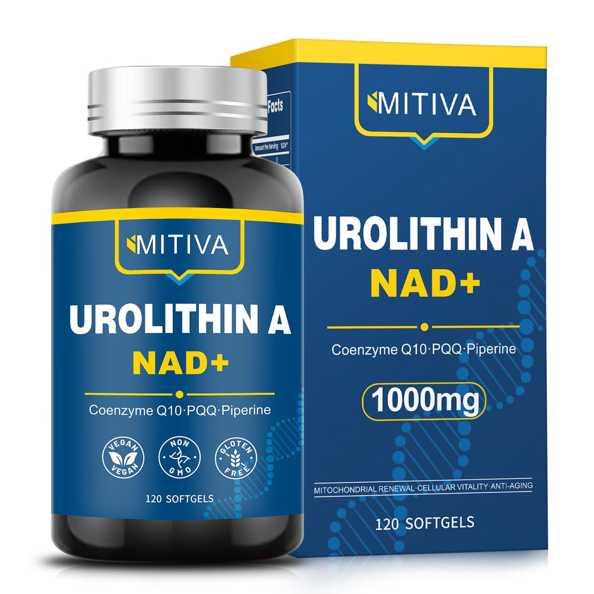 MITIVA Urolithin A flacon visible pour soutenir l'énergie quotidienne.