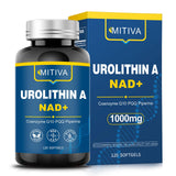 MITIVA Urolithin A flacon visible pour soutenir l'énergie quotidienne.