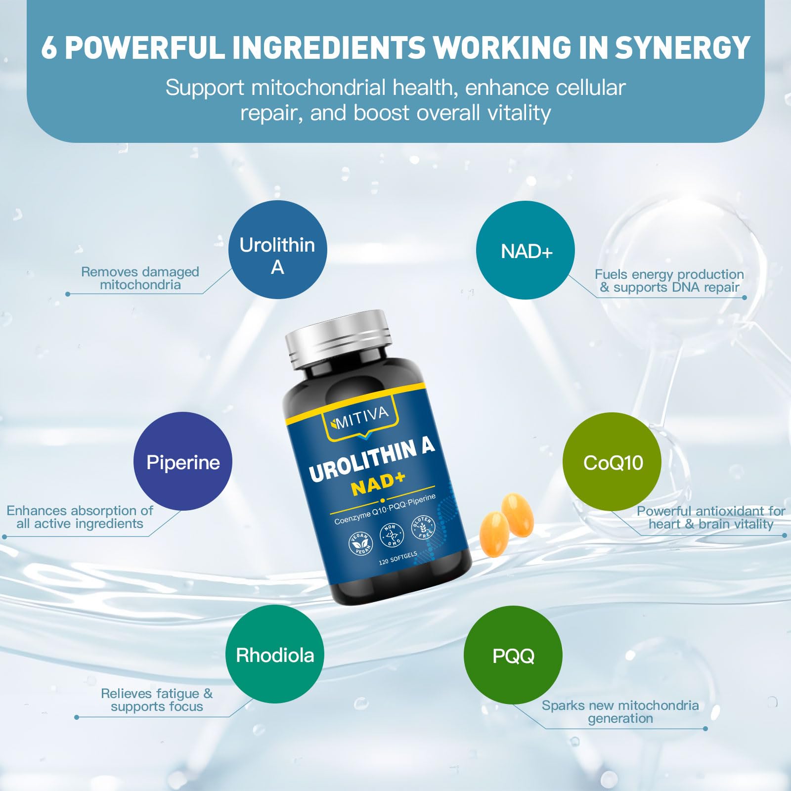 MITIVA Urolithin A ingrédients naturels pour antioxydant et bien-être.
