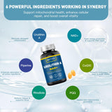MITIVA Urolithin A ingrédients naturels pour antioxydant et bien-être.