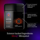MitoQ Curcumin Longvida — capsules prêtes à l’emploi pour le quotidien.