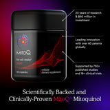 MitoQ Pure : absorption bio-disponibilite et meilleure absorption.