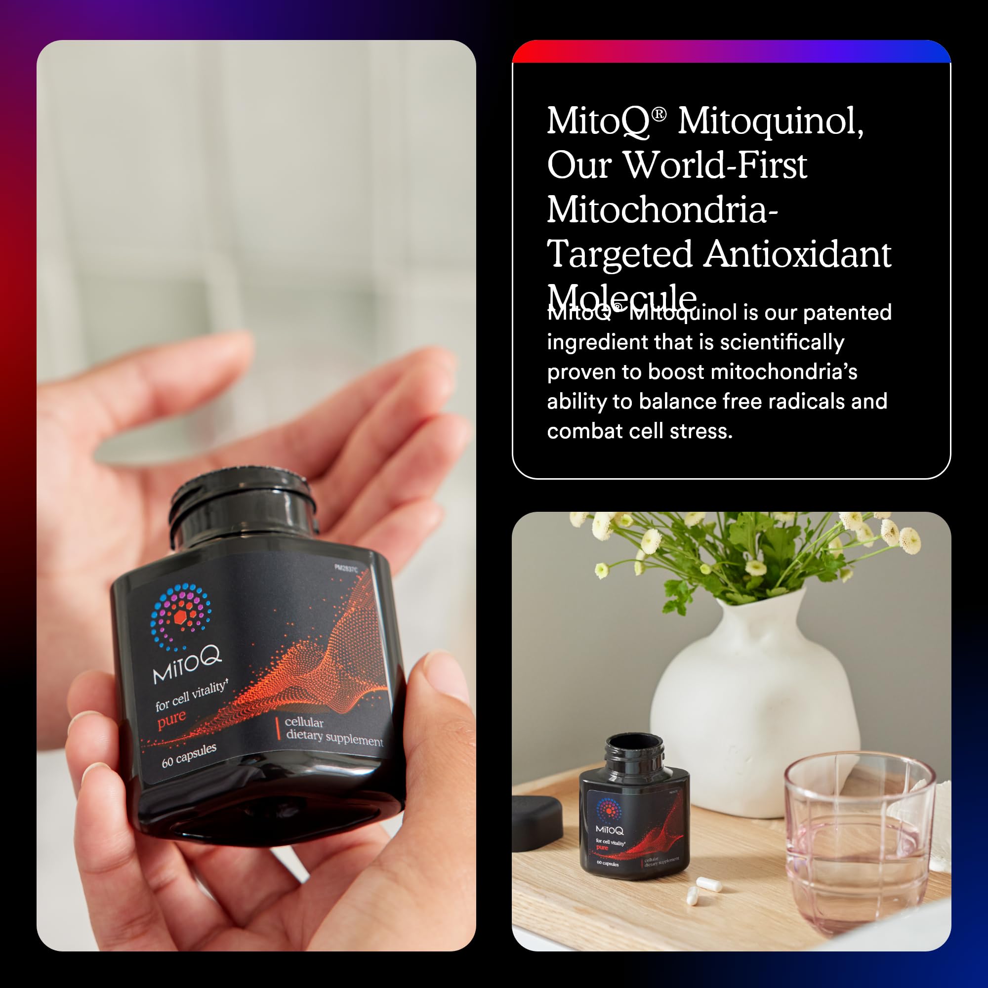 Utilisation quotidienne : MitoQ Pure dans votre routine bien-être.