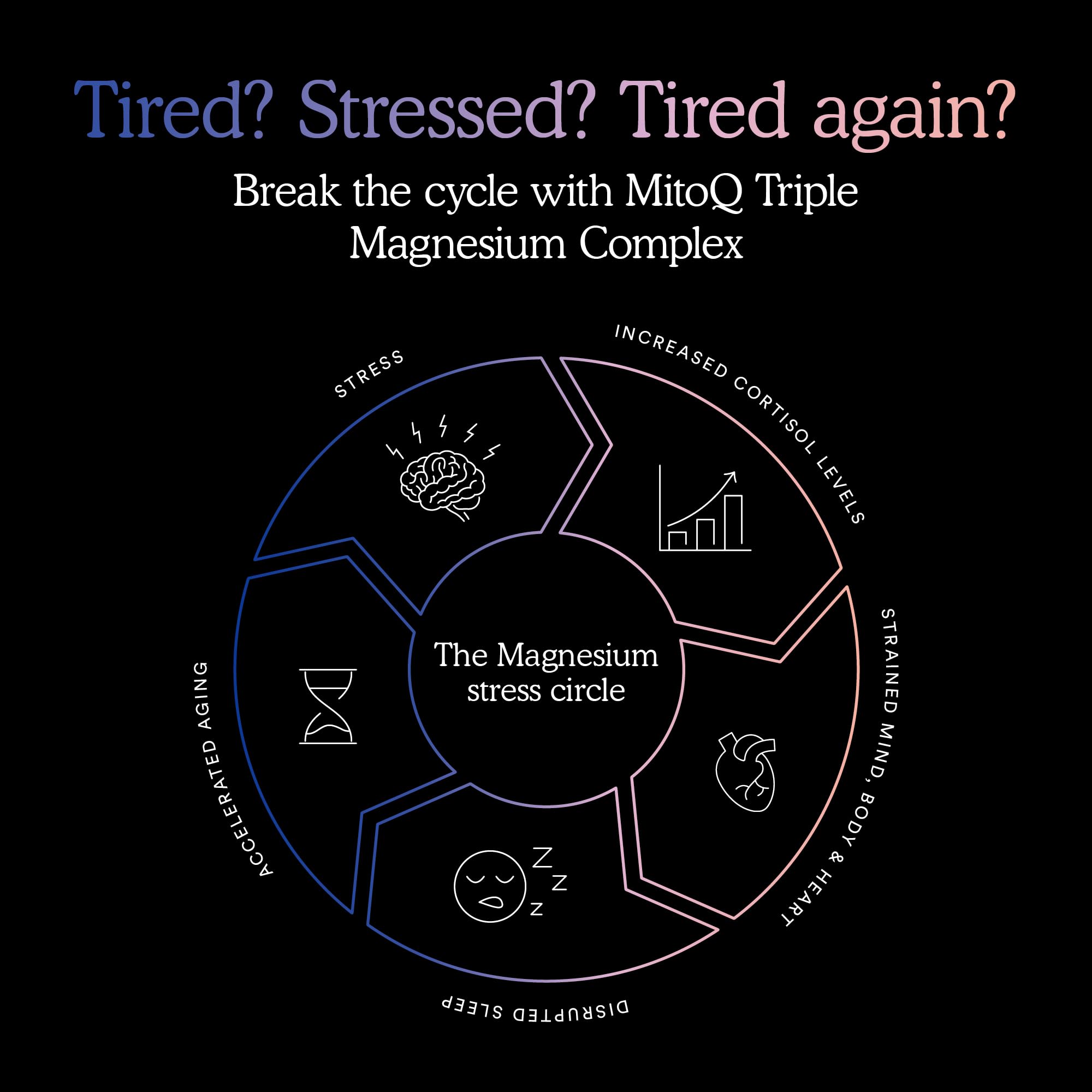 MitoQ Triple Magnésium Complex – ambiance sommeil propice au réveil frais.
