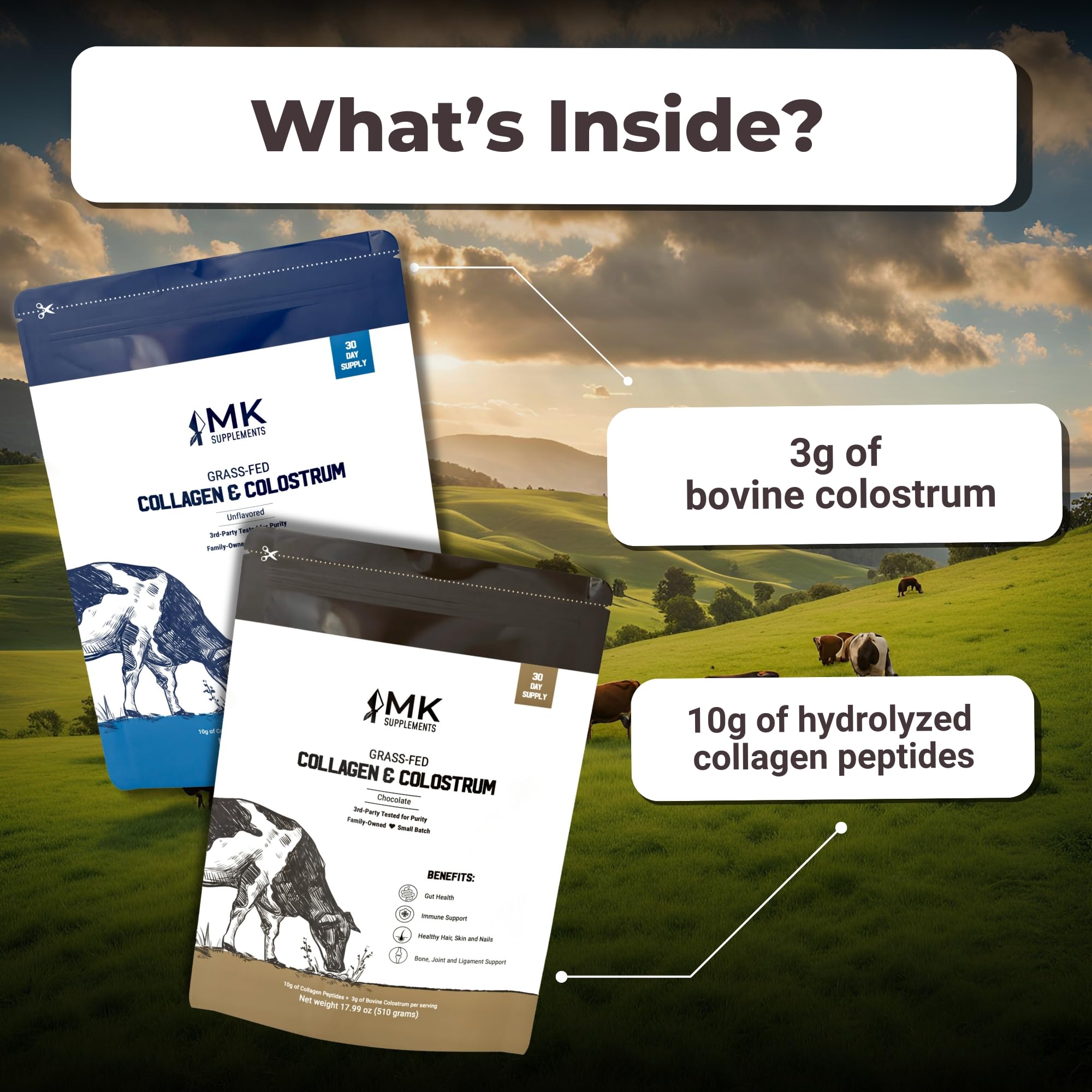MK Supplements Collagene-Colostrum verre-poudre, mélange lisse pour smoothies et cafés.