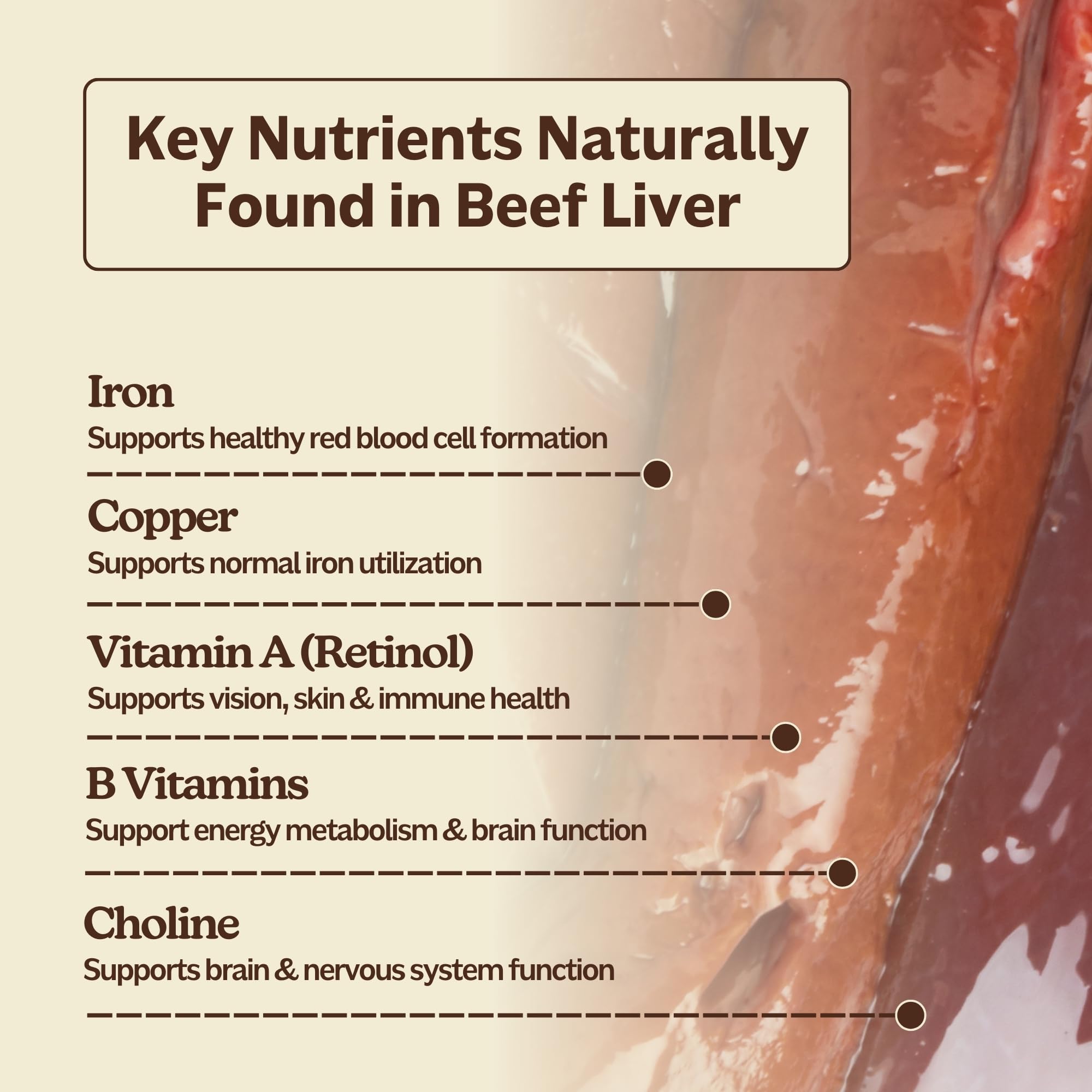 Fiche nutritionnelle MK Supplements — détails des nutriments issus d’aliments complets.