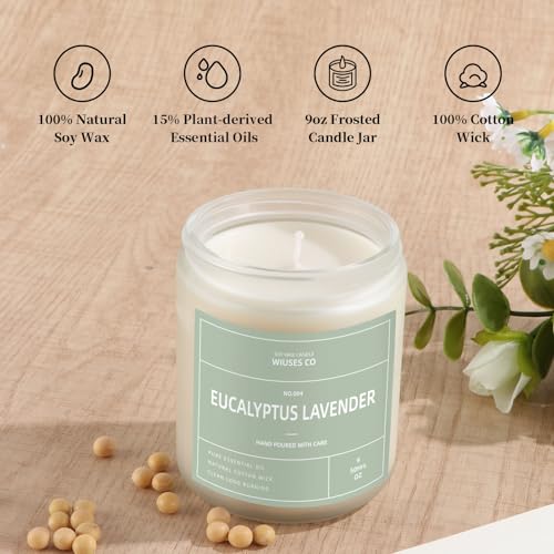 MOASITN Eucalyptus Lavande, bougie salon, parfum frais qui transforme l'espace.