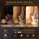 MOFOYEAH Lever de soleil progressif : lumière douce pour un réveil naturel.
