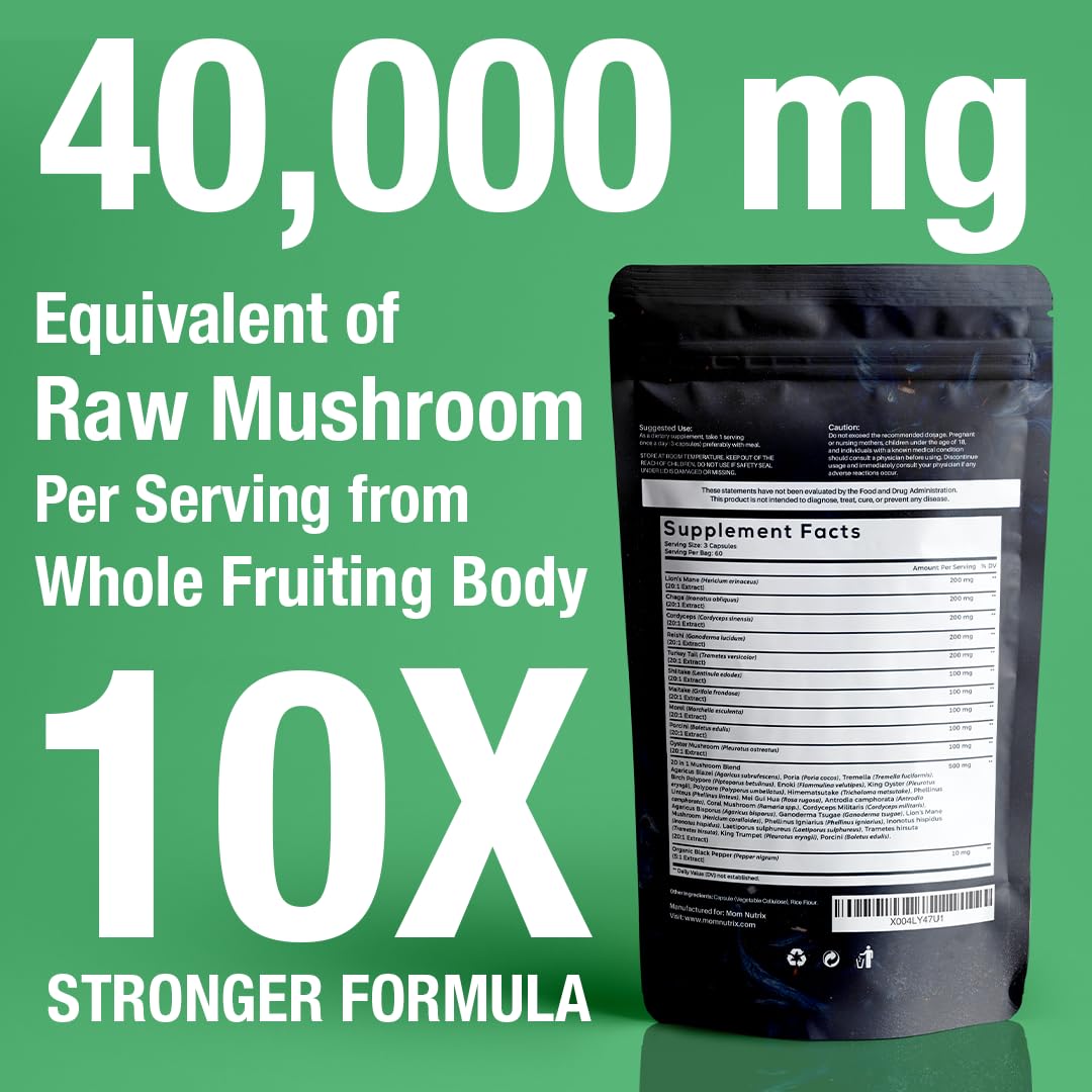 Extrait 20:1 concentré offrant 40 000 mg équivalents champignons par portion.